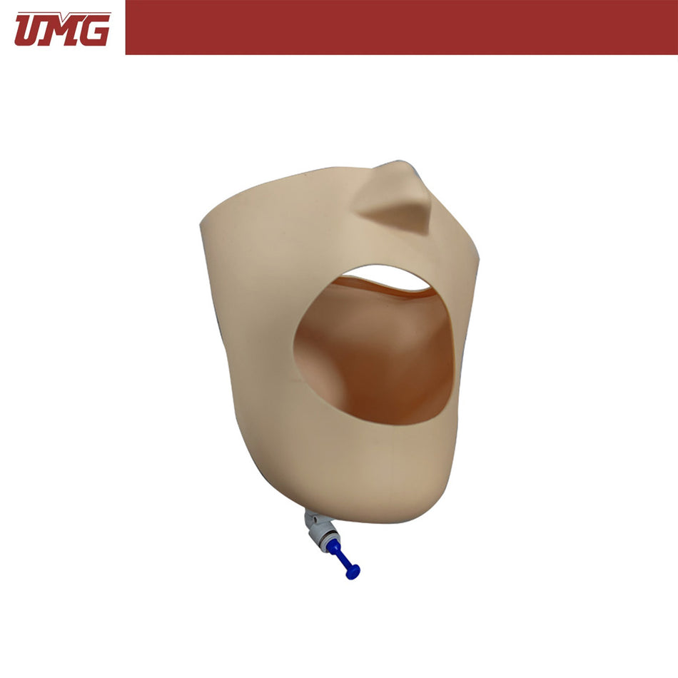 Umg-Modell Implantat-Trainingsmodell mit Gingiva