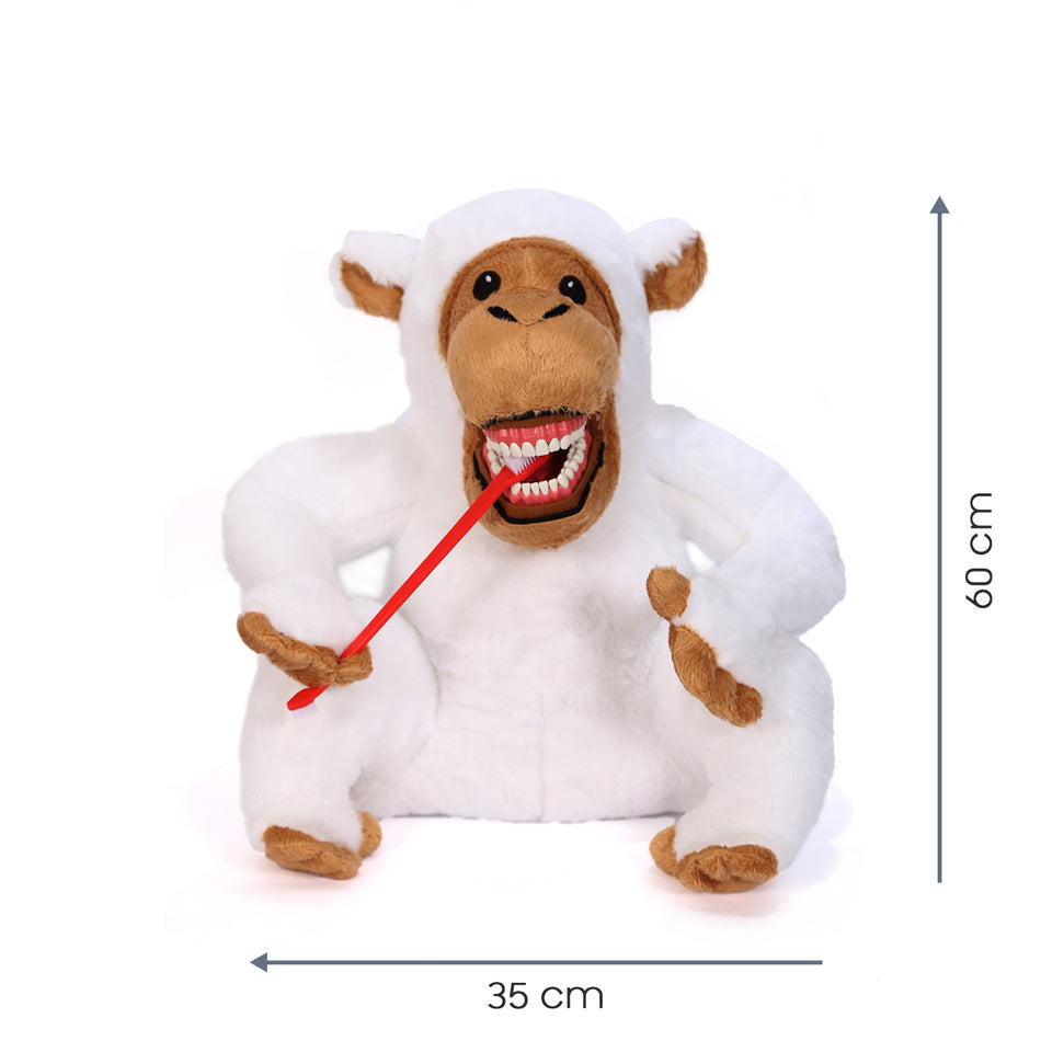 White Monkey Tooth Brush Teaching Model