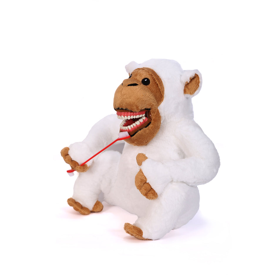 White Monkey Tooth Brush Teaching Model