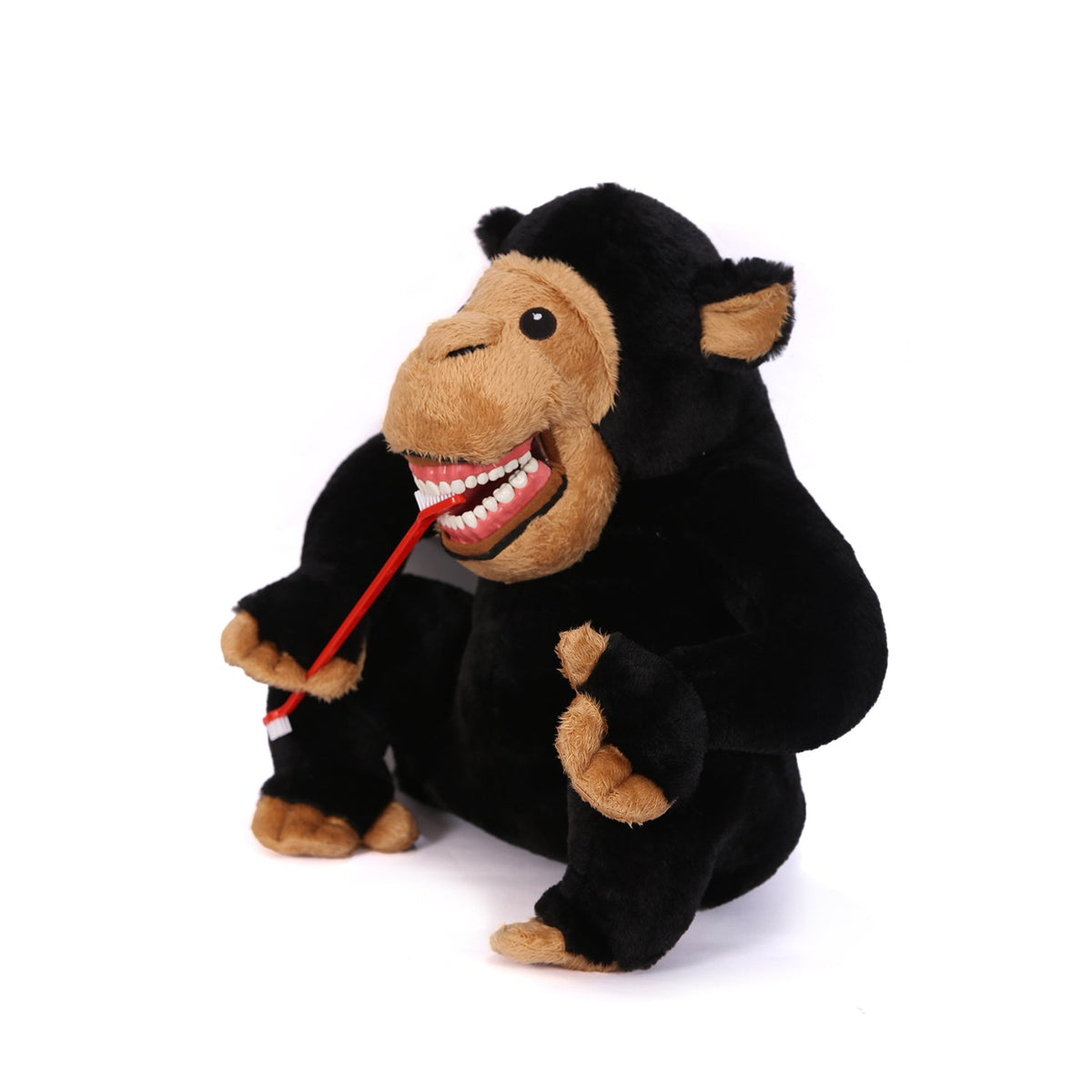 Sunray - Black Monkey Tooth Brush Teaching Model