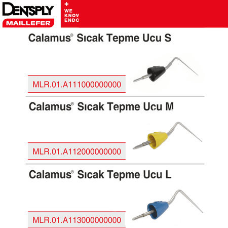 Dentsply - Sirona - Calamus Dual Bits