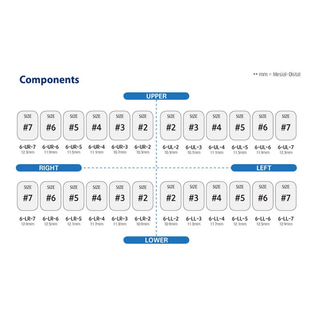 Dentreal - Perma Crown Permanent Molar Crown Kit (24 Crowns)