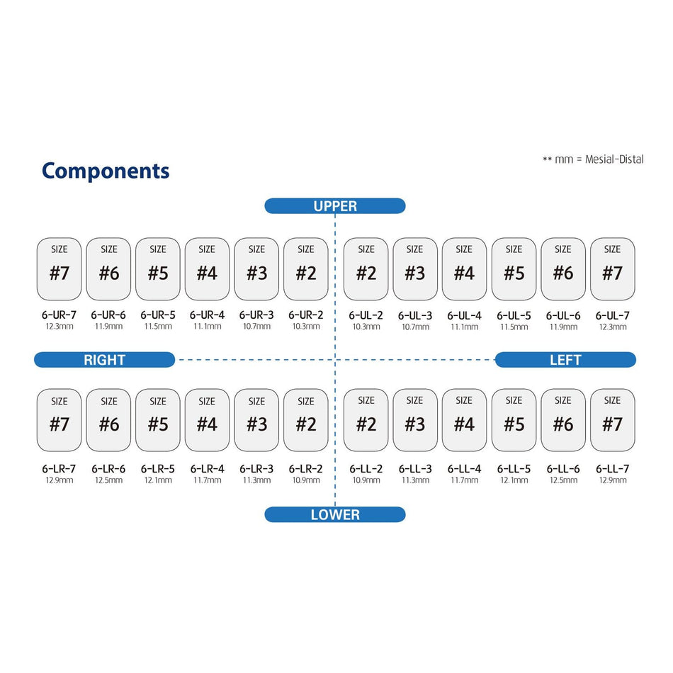 Dentreal - Perma Crown Permanent Molar Crown Kit (48 Crowns)