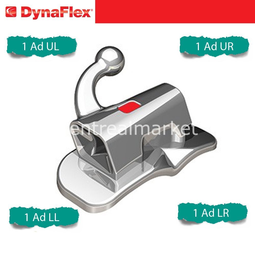 Dynaflex - Stability LP Bondable Tube 1 Set