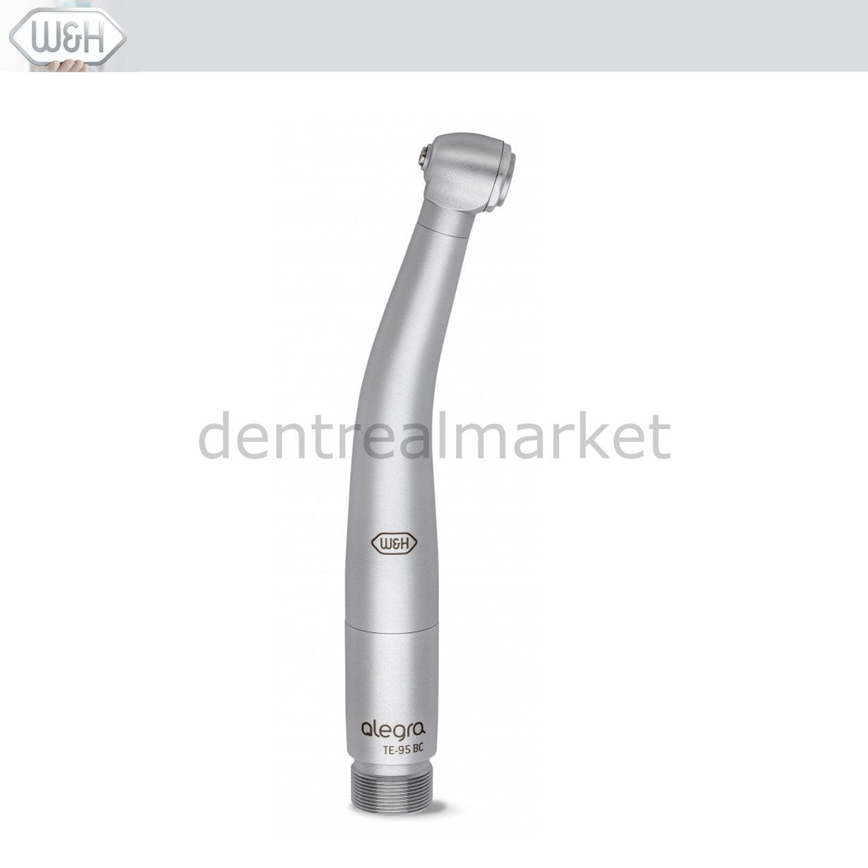 W&H Dental - TE - 95 BC Alegra Air Turbine Handpiece