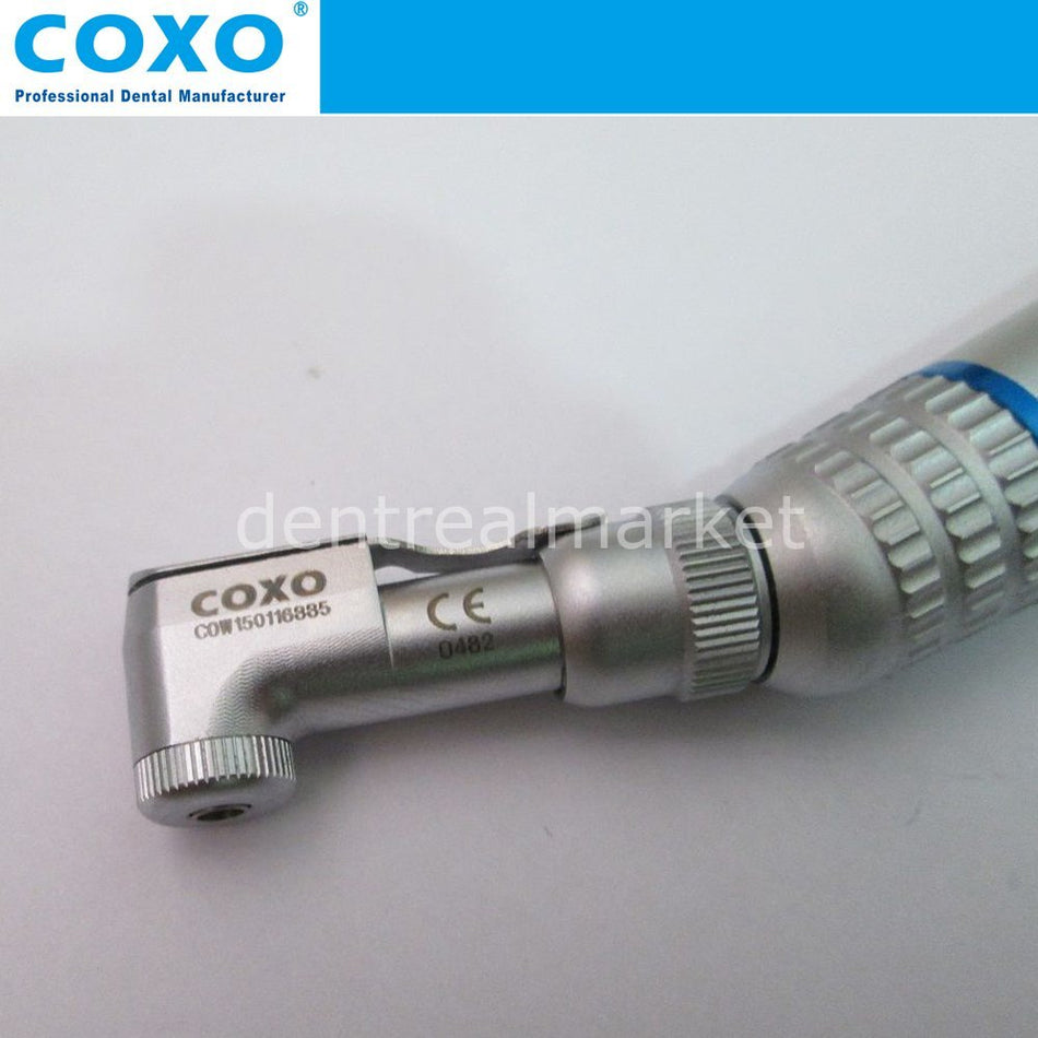 DentrealStore - Coxo Blue Belt Contra-angle Latch