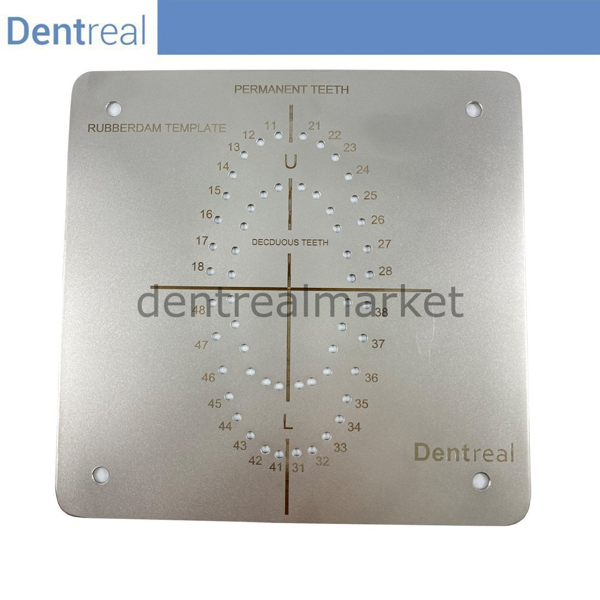 DentrealStore - Frank Dental Stainless Steel Rubberdam Template