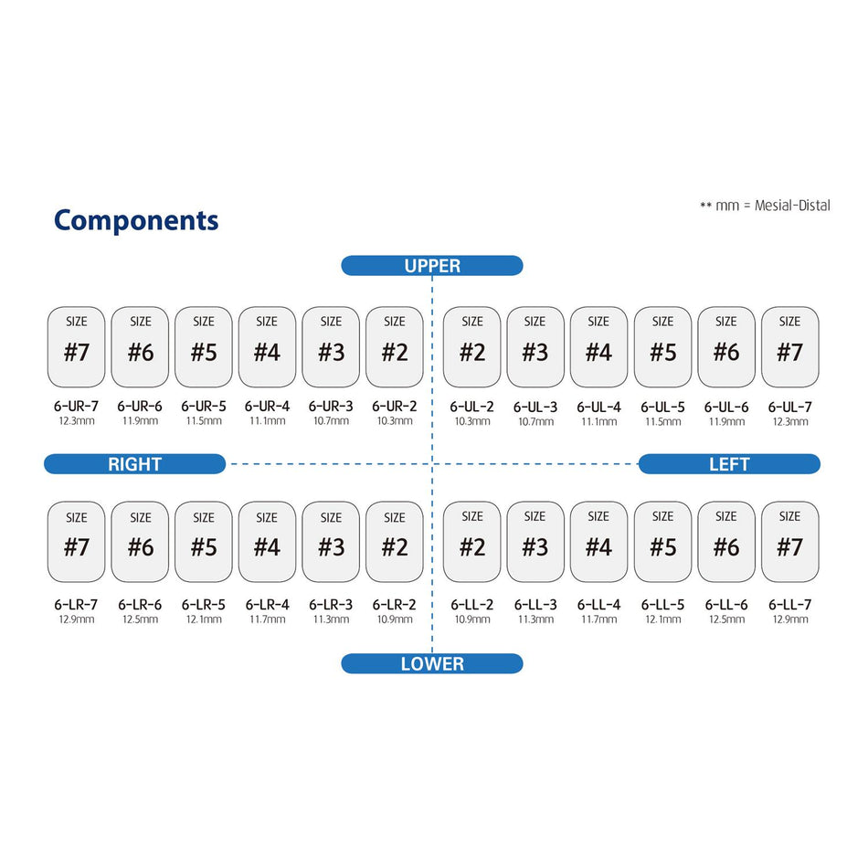 DentrealStore - Dentreal Perma Crown Permanent Molar Crown Kit (48 Crowns)